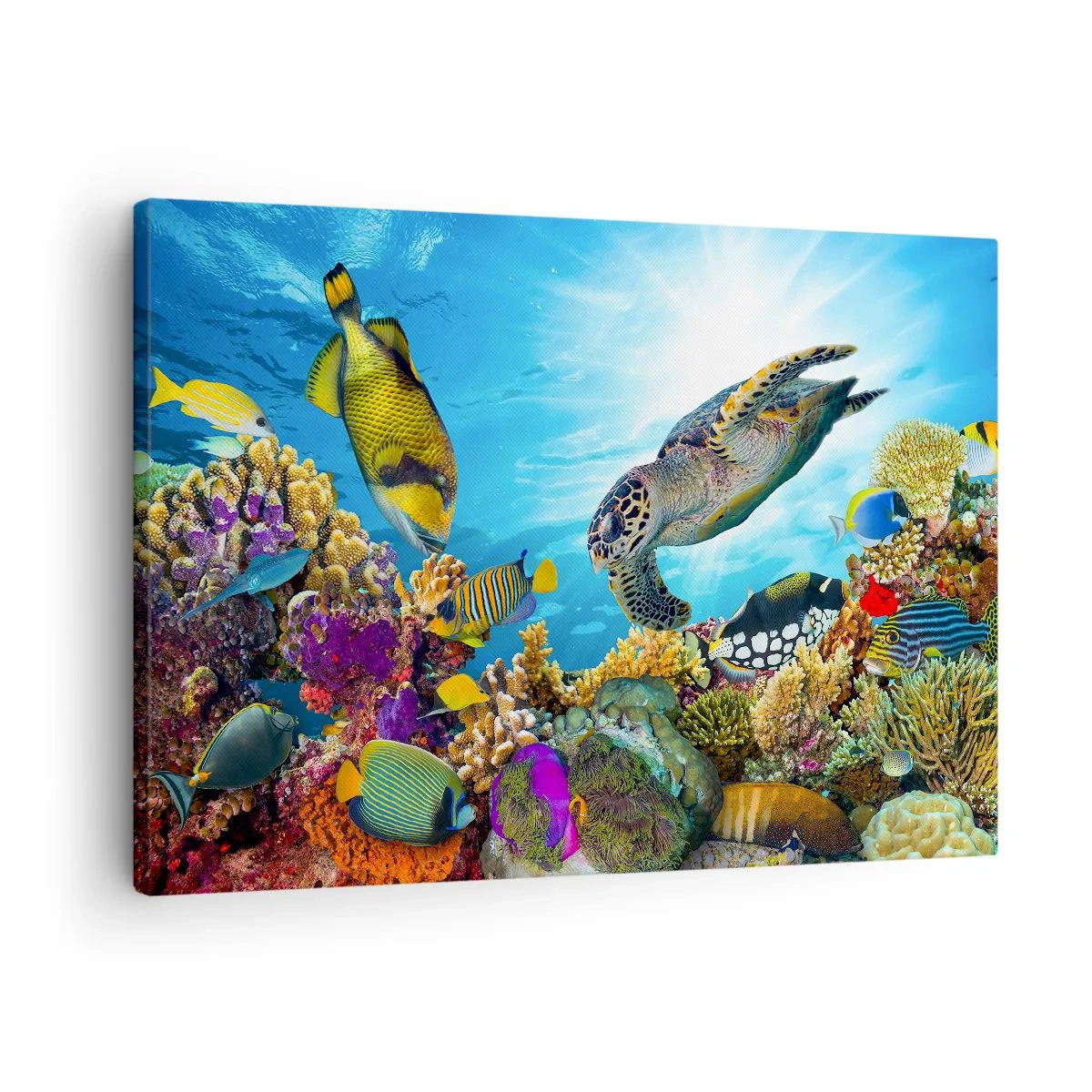 Canvas picture - Underwater world with colorful fish and a turtle in the coral - 70x50cm - Coral Promenade - Modern wall decoration for the living room and bedroom ARTTOR