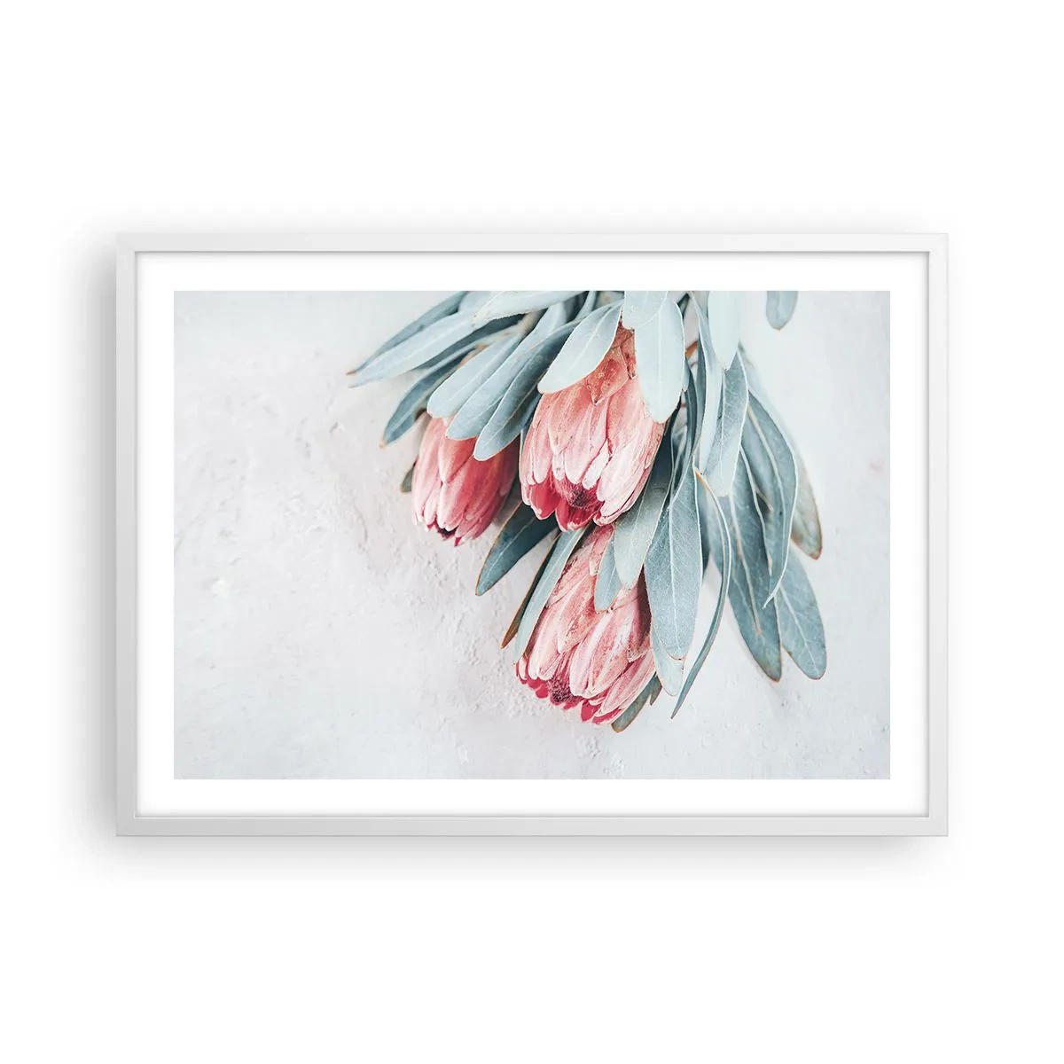 Poster in white frmae - Ashamed of Their Own Beauty - 70x50 cm
