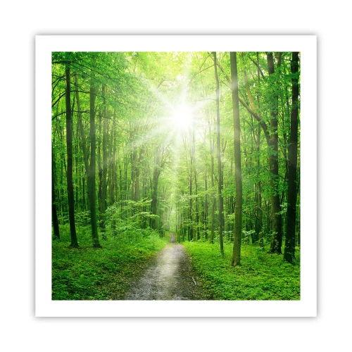 Poster - Green Cathedral - 60x60 cm
