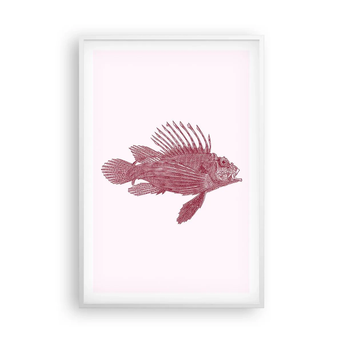 Poster in white frmae - Dweller of Exotic Waters - 61x91 cm