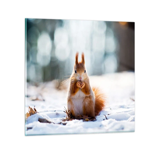 Glass picture - What Are You Looking at? - 30x30 cm