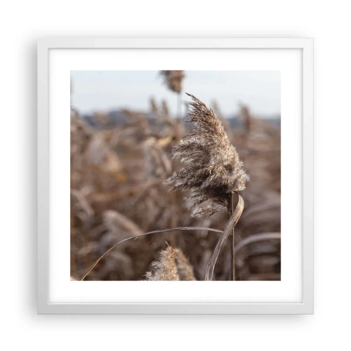 Poster in white frmae - Time to Fly with the Wind - 40x40 cm
