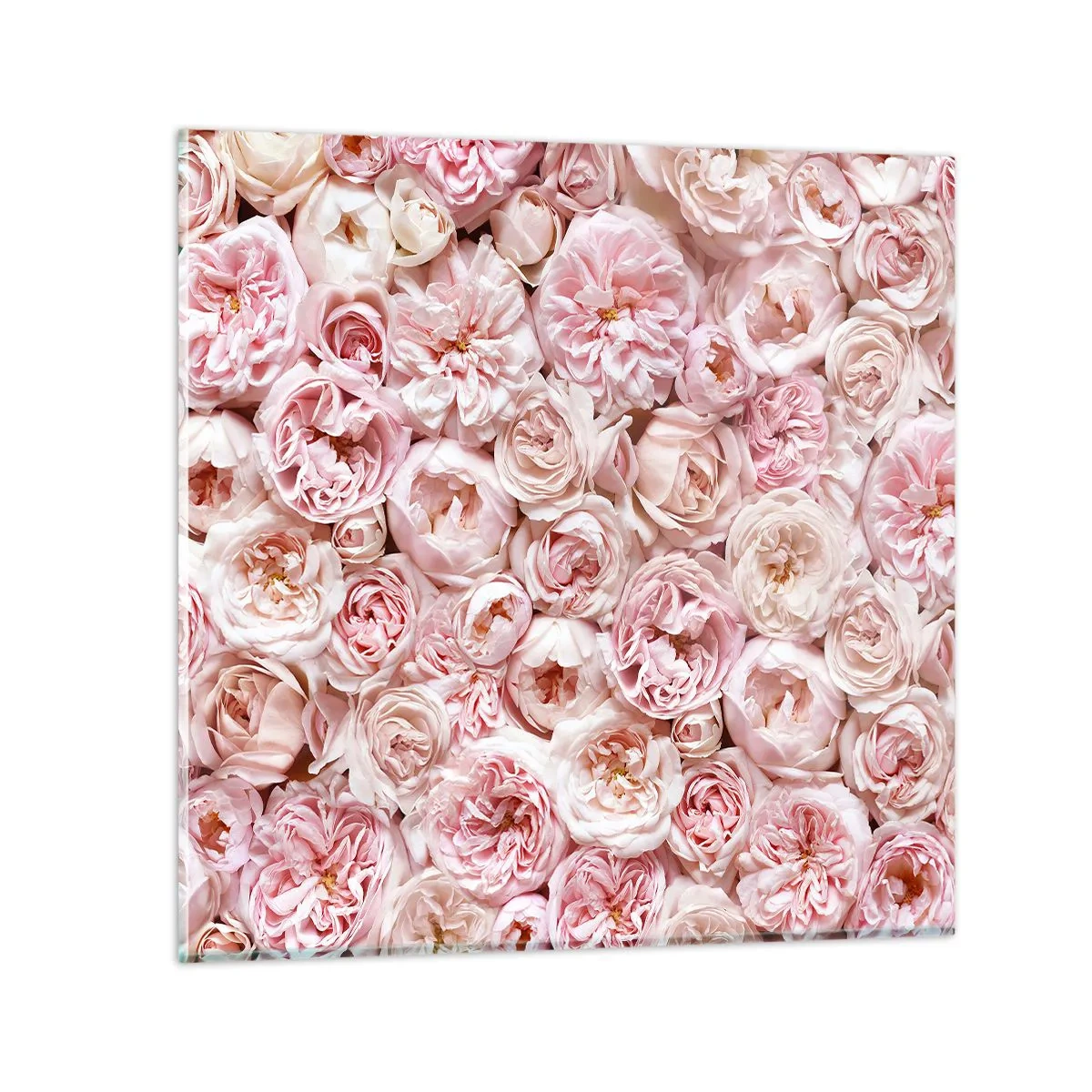 Glass picture - Decked with Roses - 50x50 cm