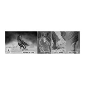 Photo Wallpaper Sample Premium Canvas - Worthy of Emir Himself - Horse, Animals, Nature - 100x30 cm