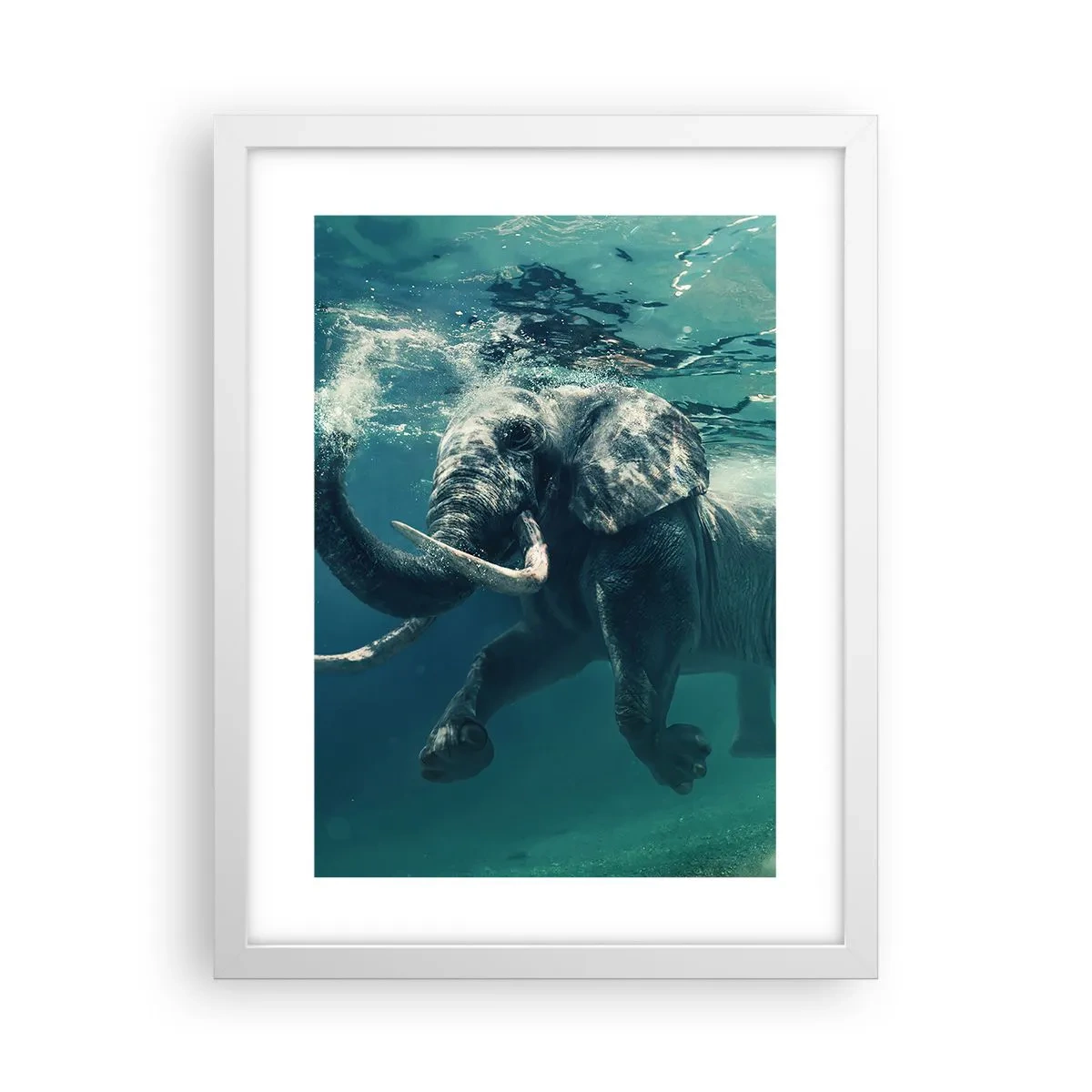 Poster in white frmae - Everyone Likes to Swim - 30x40 cm