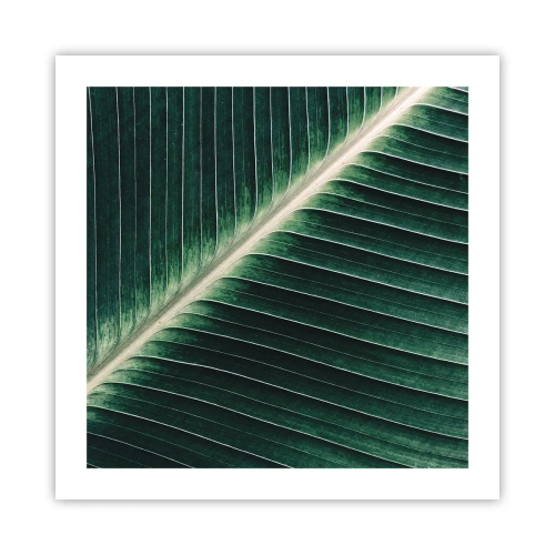 Poster - Rhythm of Nature - 50x50 cm