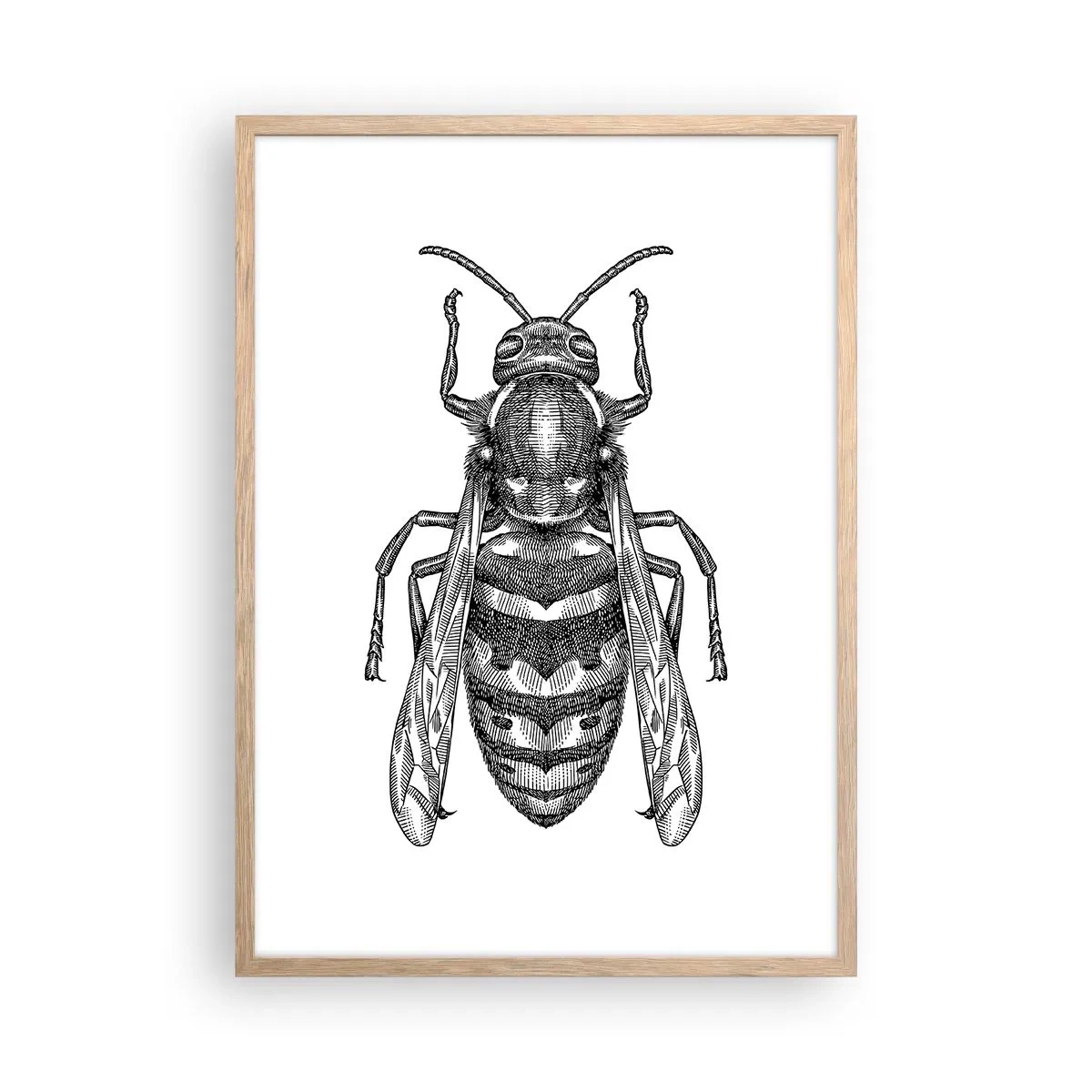 Poster in light oak frame - From Insect Planet - 50x70 cm