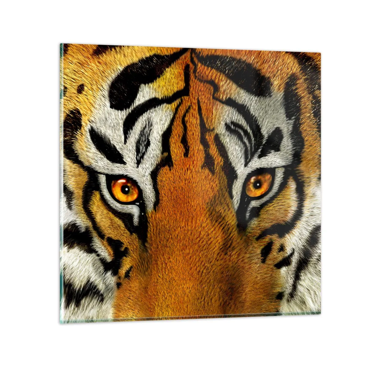 Glass picture - Fearsome and Beautiful - 60x60 cm
