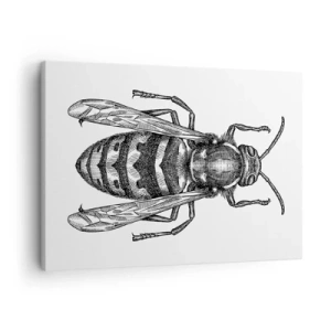 Canvas picture - A cartoon wasp motif on a white background in a minimalist style. - 70x50cm - From Insect Planet - Modern wall decoration for the living room and bedroom ARTTOR