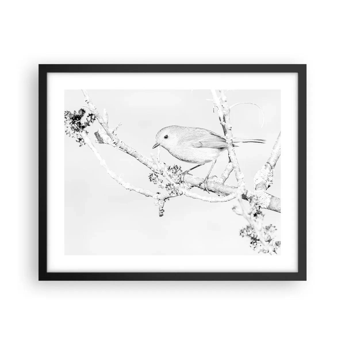 Poster in black frame - Winter Morning - 50x40 cm