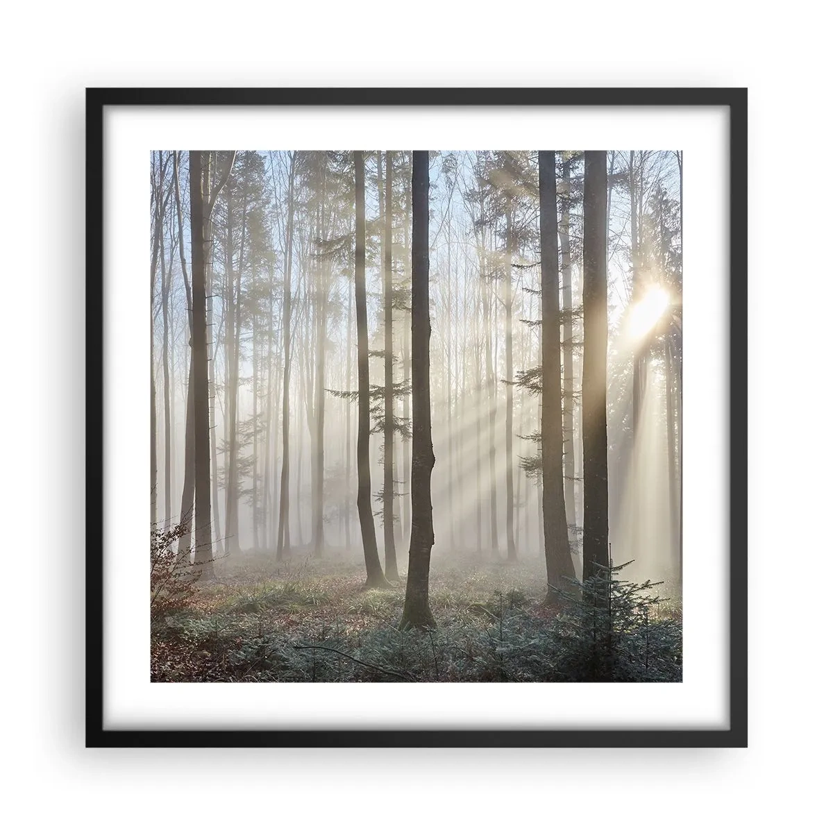 Poster in black frame - Fog Has Woken up Too - 50x50 cm