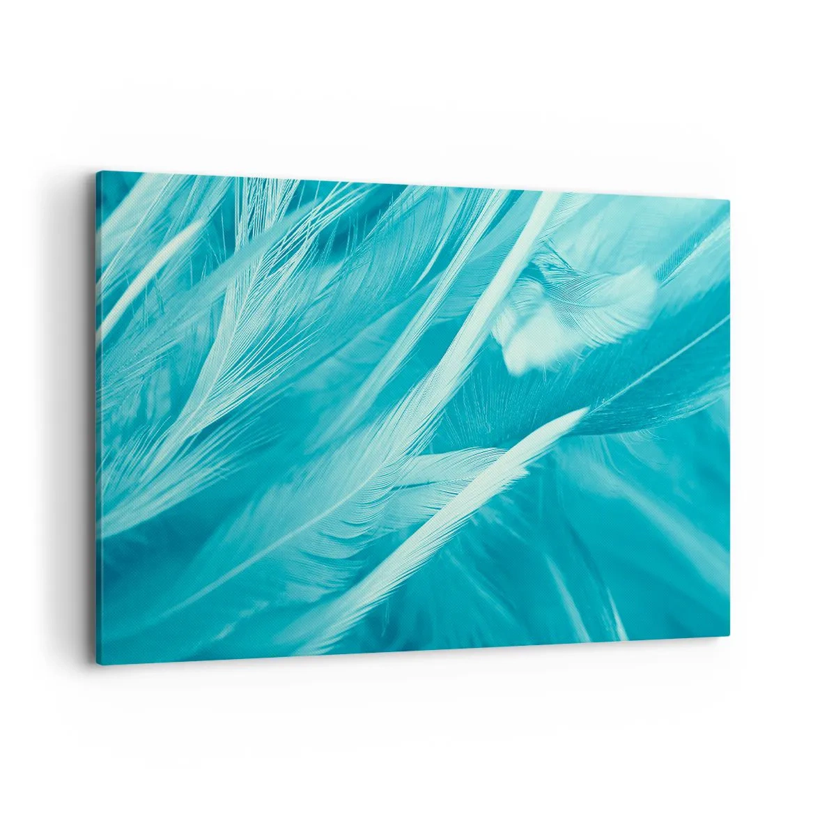 Canvas picture - Drowning in Feathers - 120x80 cm