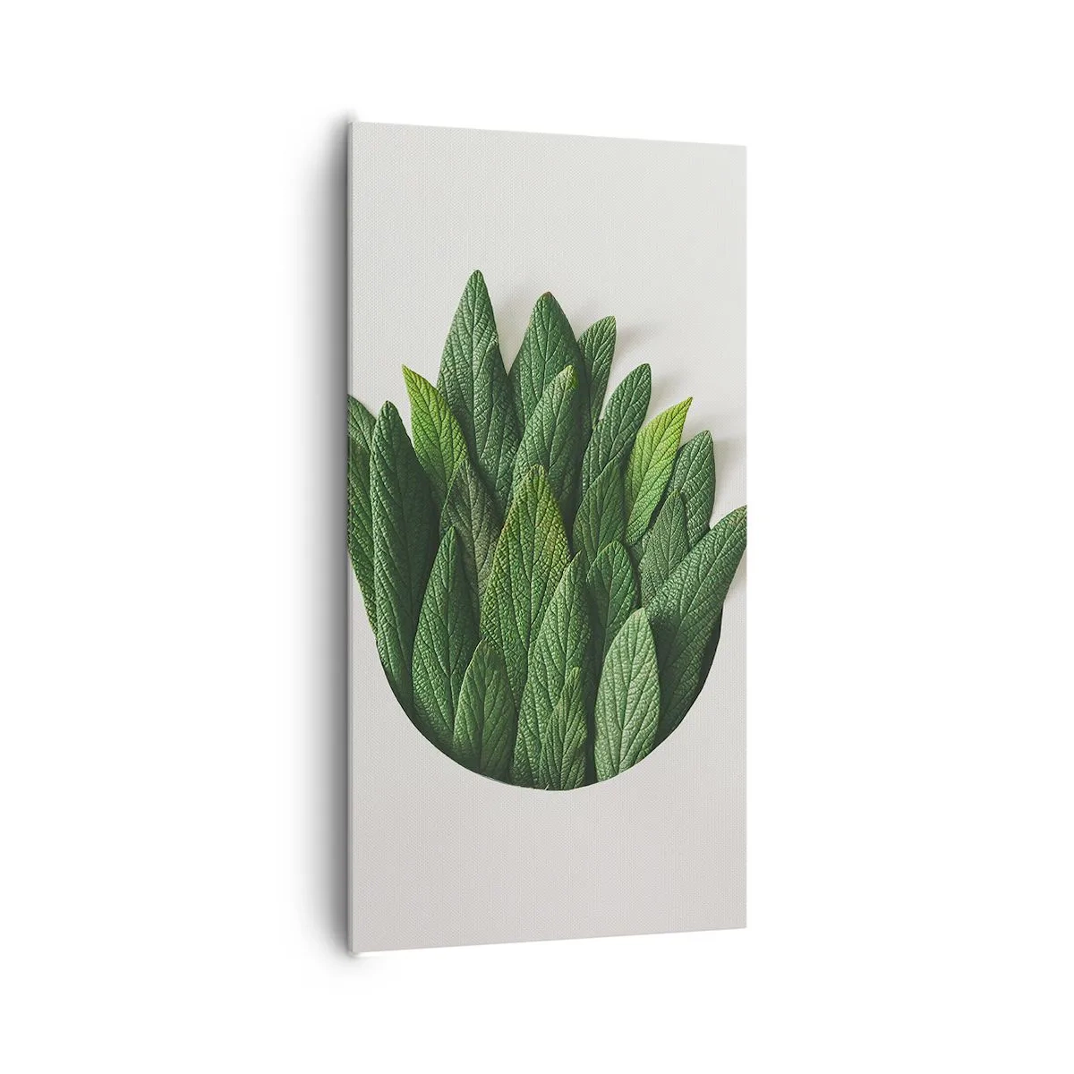 Canvas picture - Untamed Curiosity - 65x120 cm