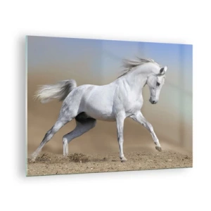 Glass picture - A white horse galloping across the sandy ground - 70x50cm - The Most Beautiful Arabic Tale - Modern wall decoration for the living room and bedroom ARTTOR