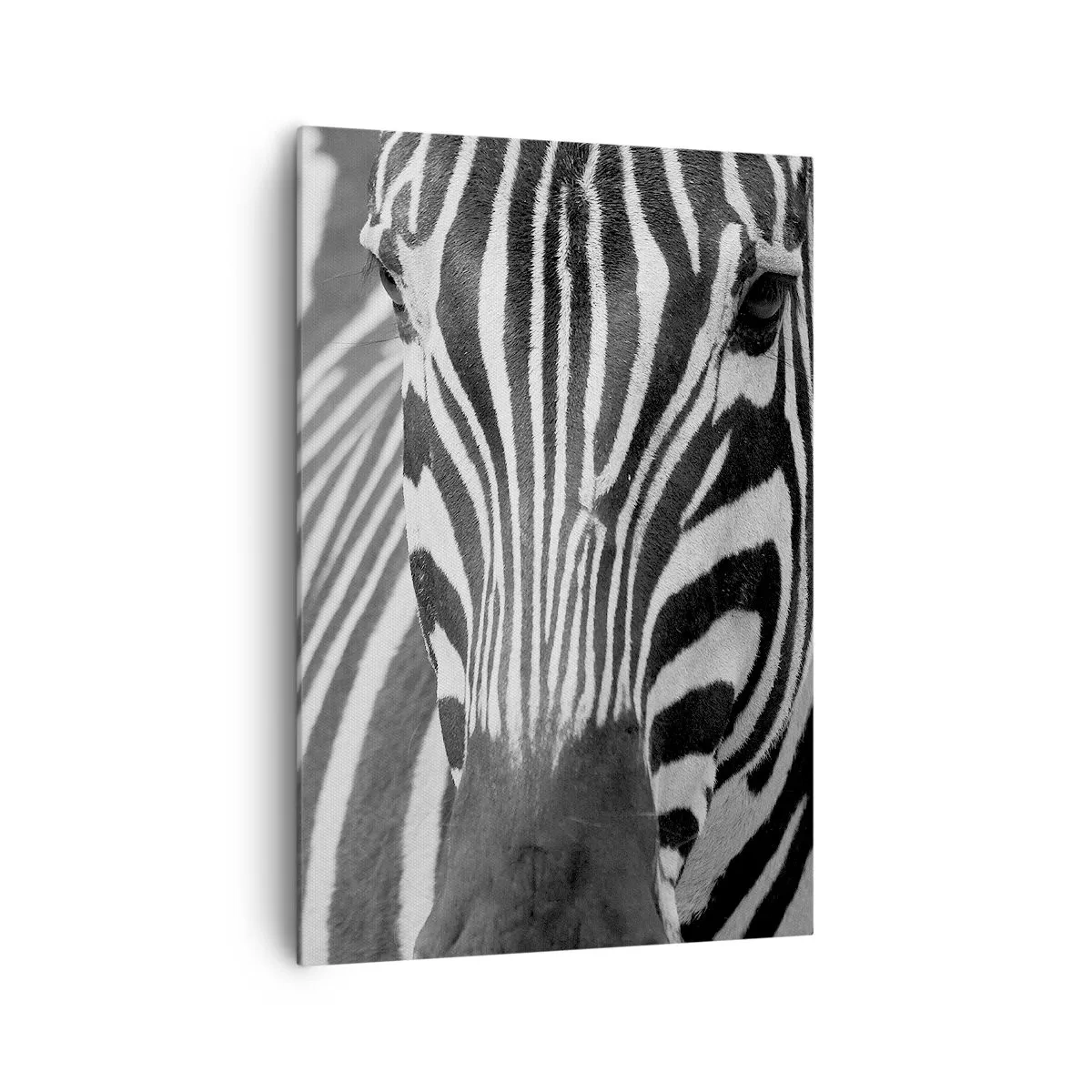 Canvas picture - World Is Black and White - 70x100 cm