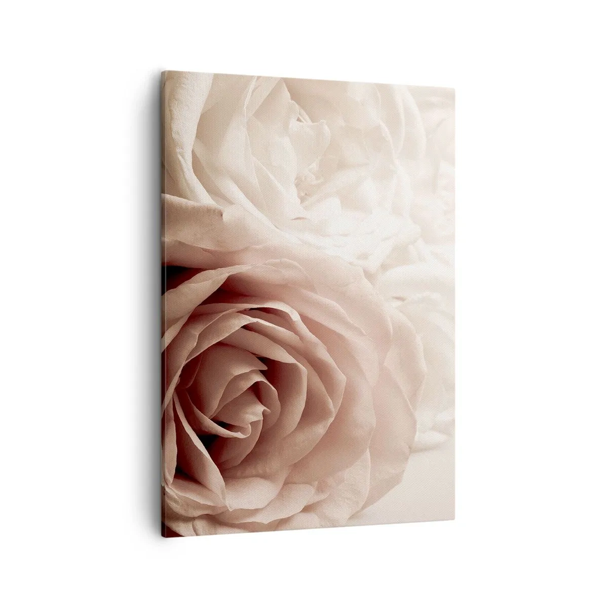 Canvas picture - In the Heart of a Rose - 50x70 cm
