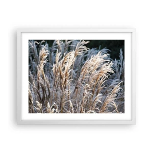 Poster in white frmae - Decorated with Frost - 50x40 cm