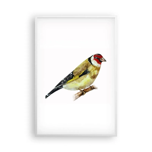 Poster in white frmae - Bird Portrait  - 61x91 cm