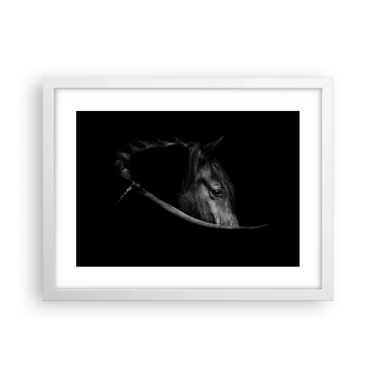 Poster in white frmae - Black Prince - 40x30 cm
