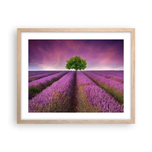 Poster in light oak frame - In the Fields of Lavender - 50x40 cm