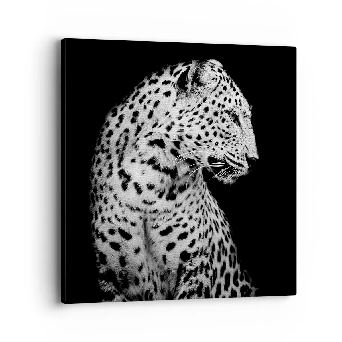Canvas picture - A Perfect Right Profile  - 40x40 cm