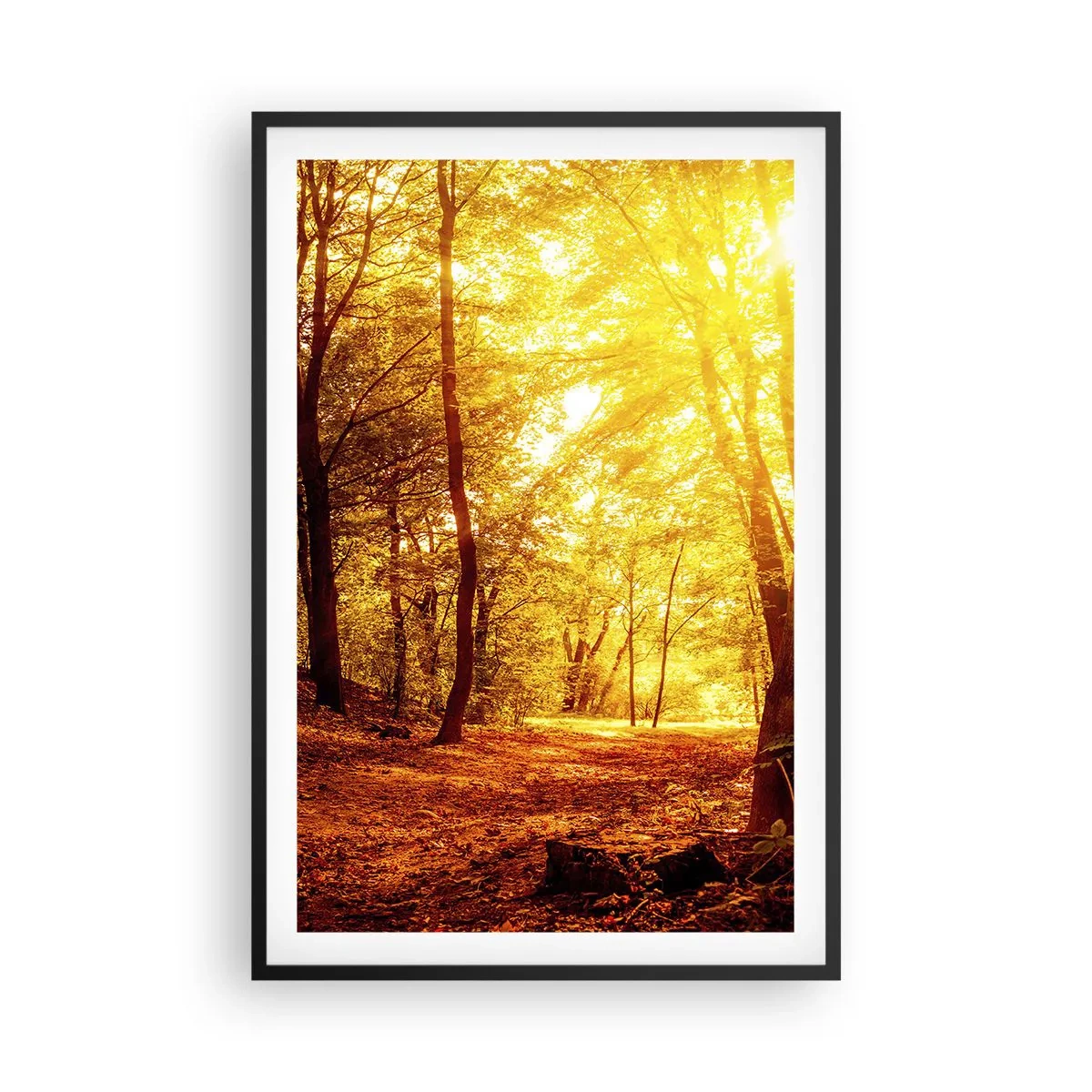 Poster in black frame - Towards Golden Plain - 61x91 cm