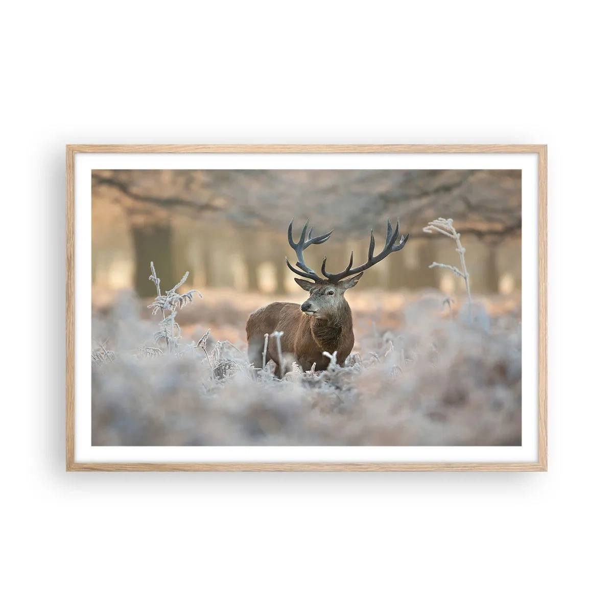 Poster in light oak frame - Chilly Morning - 91x61 cm