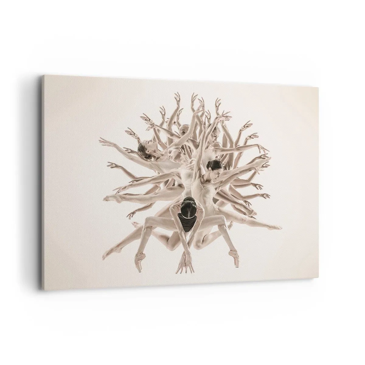 Canvas picture - Dance in Bloom - 100x70 cm