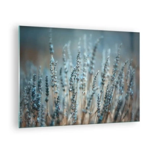 Glass picture - A field of lavender in soft, cool light - 70x50cm - Fragrant Grass - Modern wall decoration for the living room and bedroom ARTTOR
