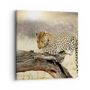 Canvas picture - I Mark My Own Path - 40x40 cm