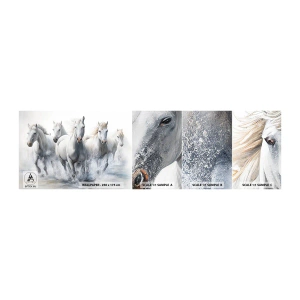Photo Wallpaper Sample Self-Adhesive Deluxe Sticker - White Magic - Horses, Animals, Watercolor - 100x30 cm