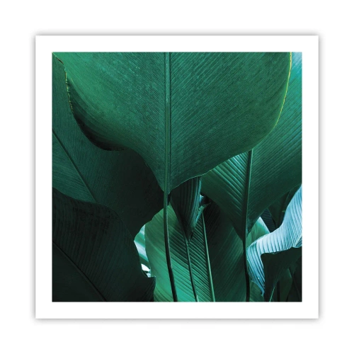 Poster - Turned towards Light - 60x60 cm