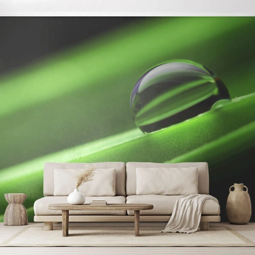 Photo Wallpaper Premium Canvas - Life from a Close-Up - Abstraction, Graphics, A drop of water - 200x140 cm