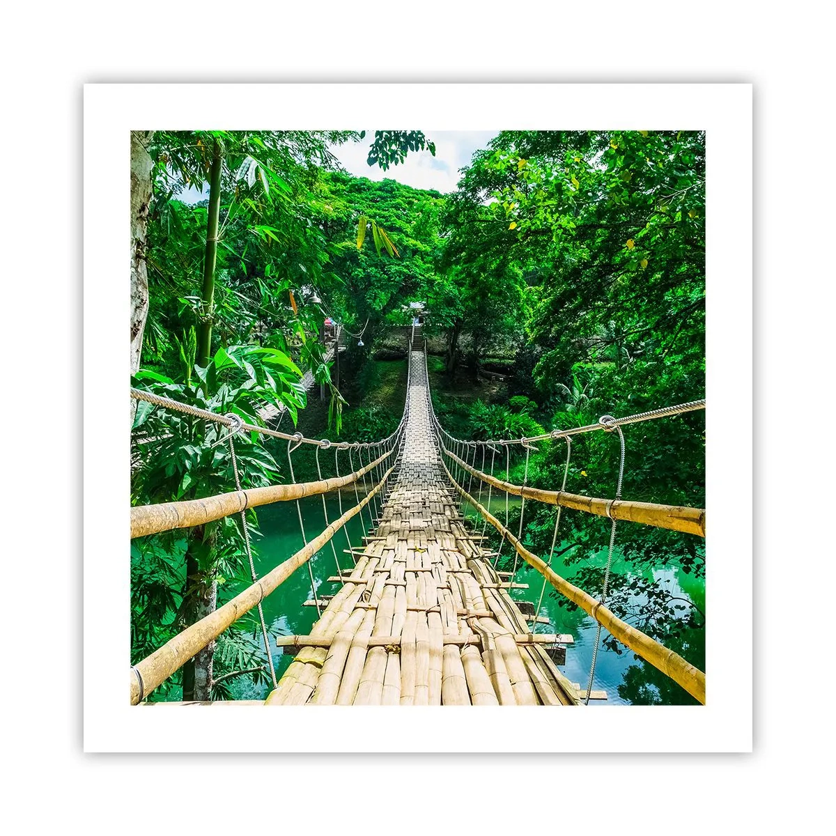 Poster - Small Bridge over the Green - 50x50 cm