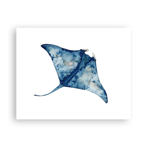 Poster - Life In Blue - 50x40 cm