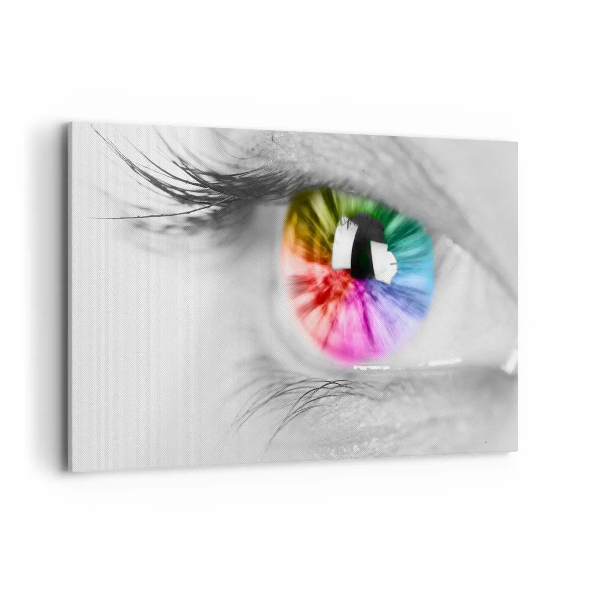 Canvas picture - See the World through Coloured Glasses - 120x80 cm