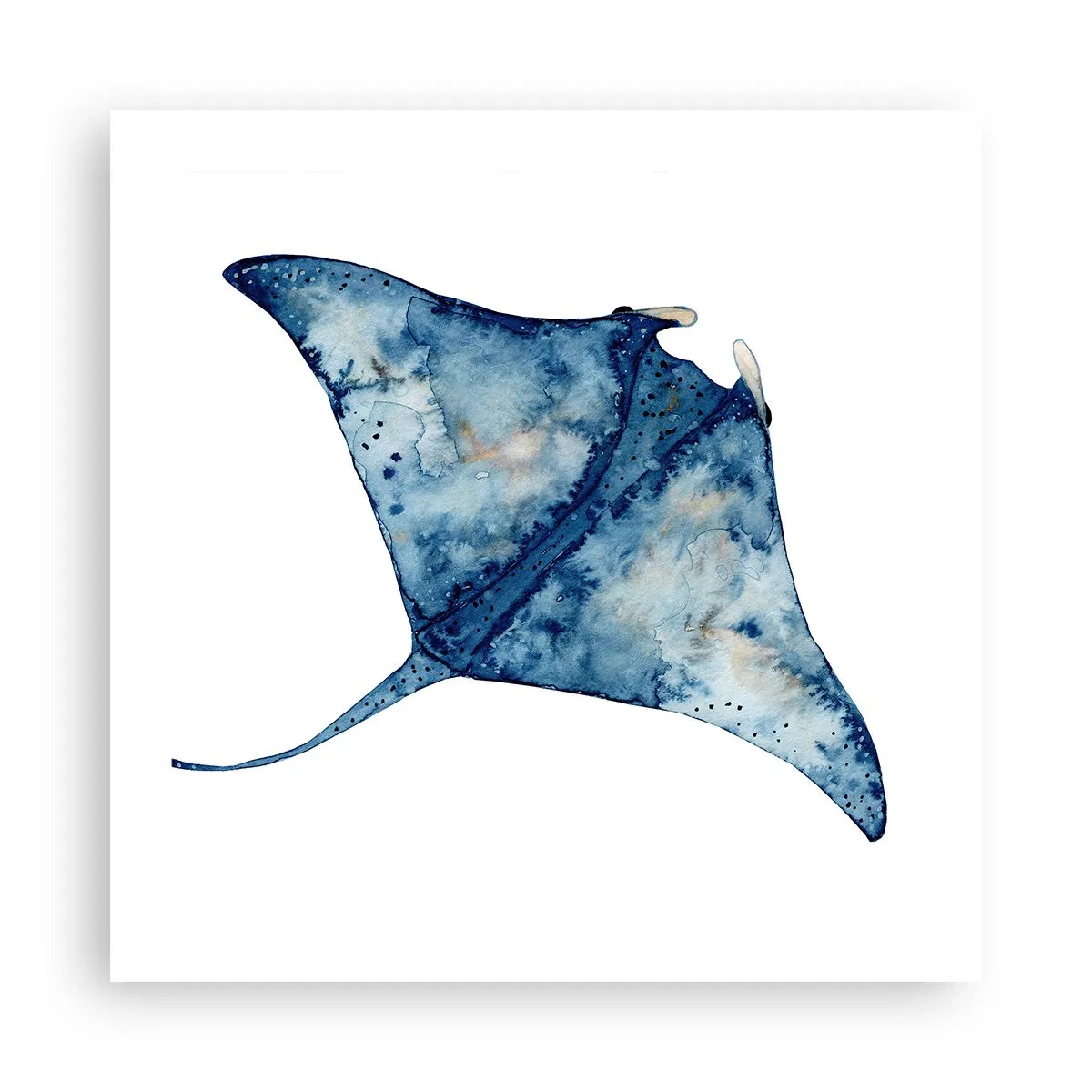 Poster - Life In Blue - 50x50 cm