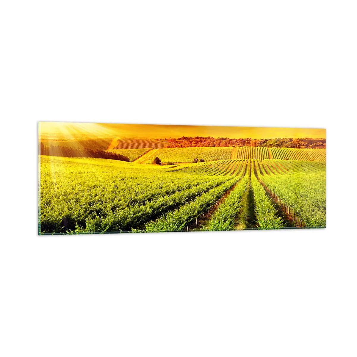 Glass picture - Under Australian Sun - 90x30 cm