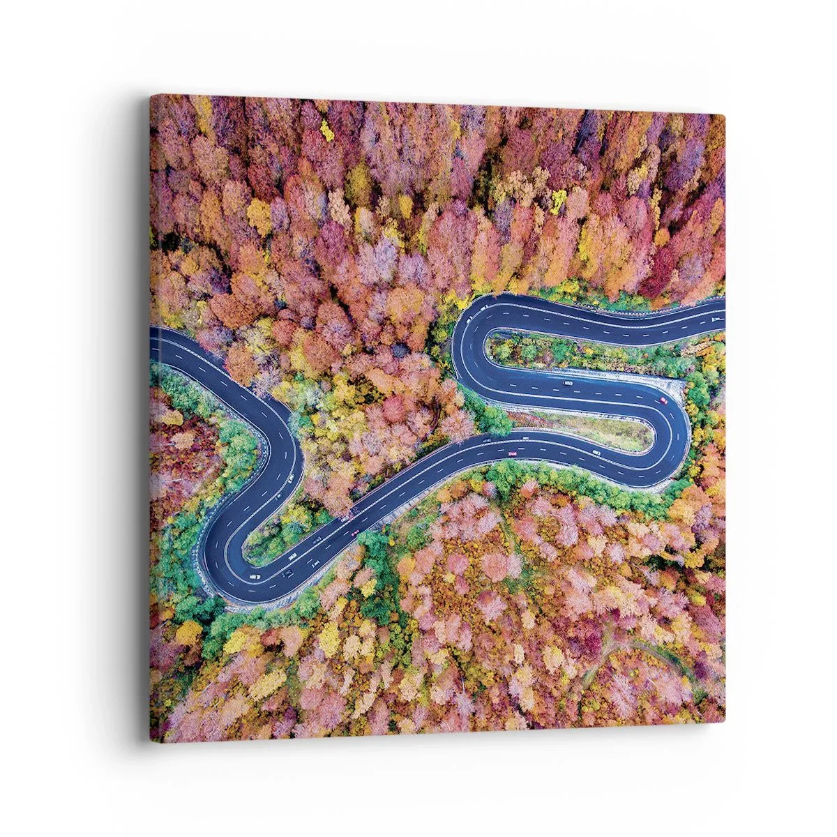 Canvas picture - Winding Path through a Forest - 40x40 cm