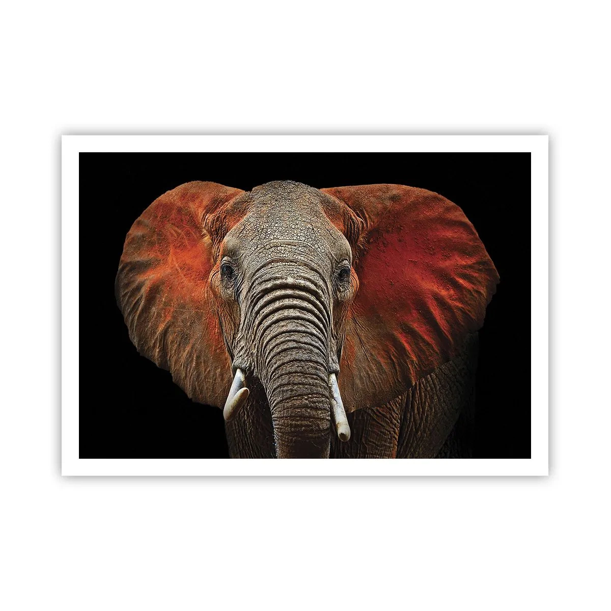 Poster - I am Wild, and You? - 100x70 cm