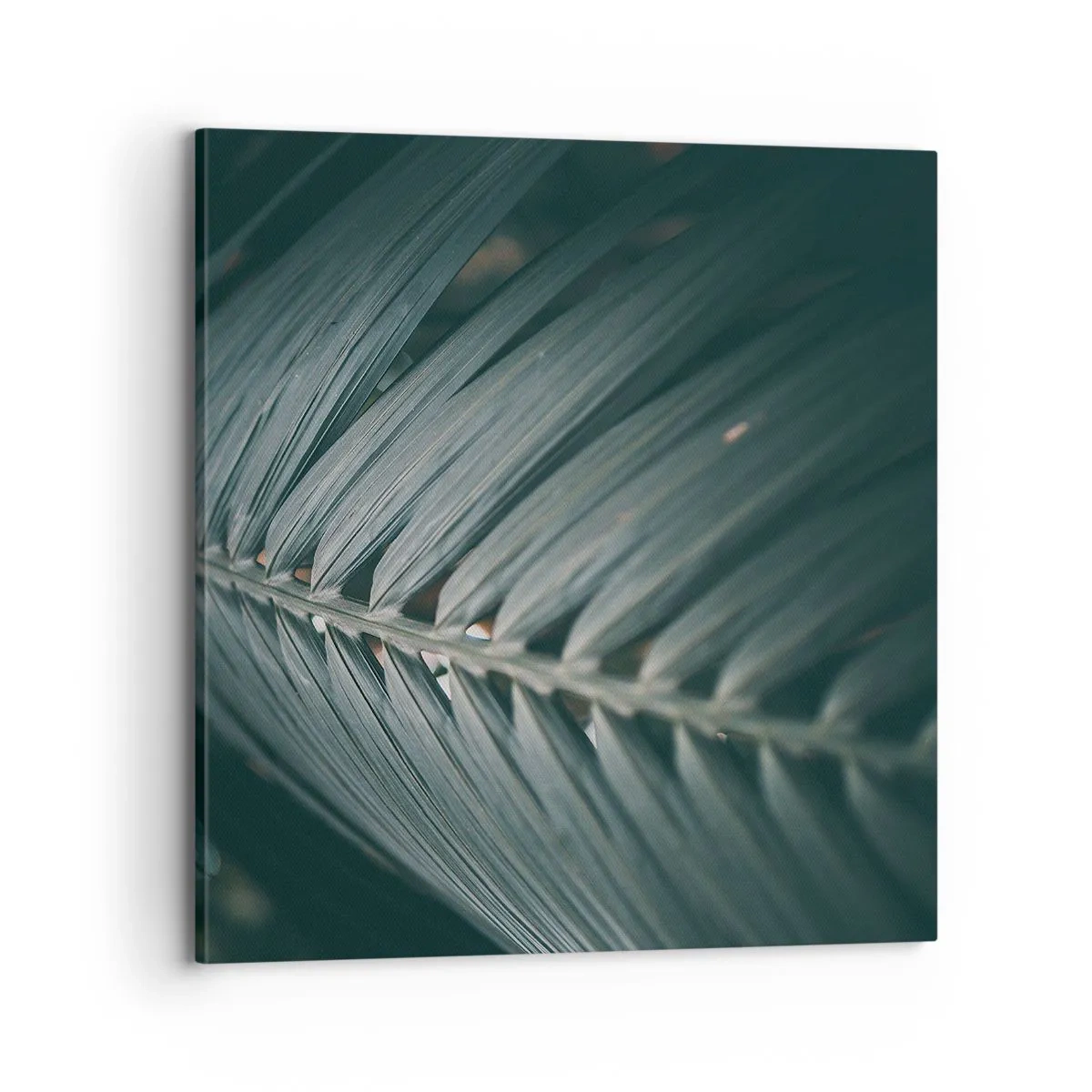 Canvas picture - Precision of Nature - 70x70 cm