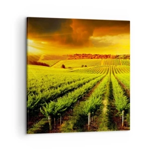 Canvas picture - Under Australian Sun - 60x60 cm