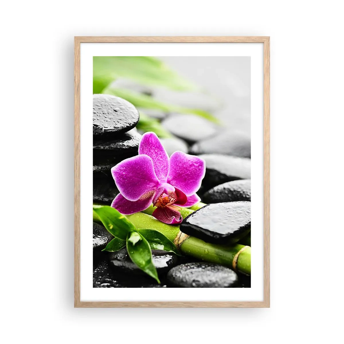 Poster in light oak frame - In a Peaceful Balance - 50x70 cm