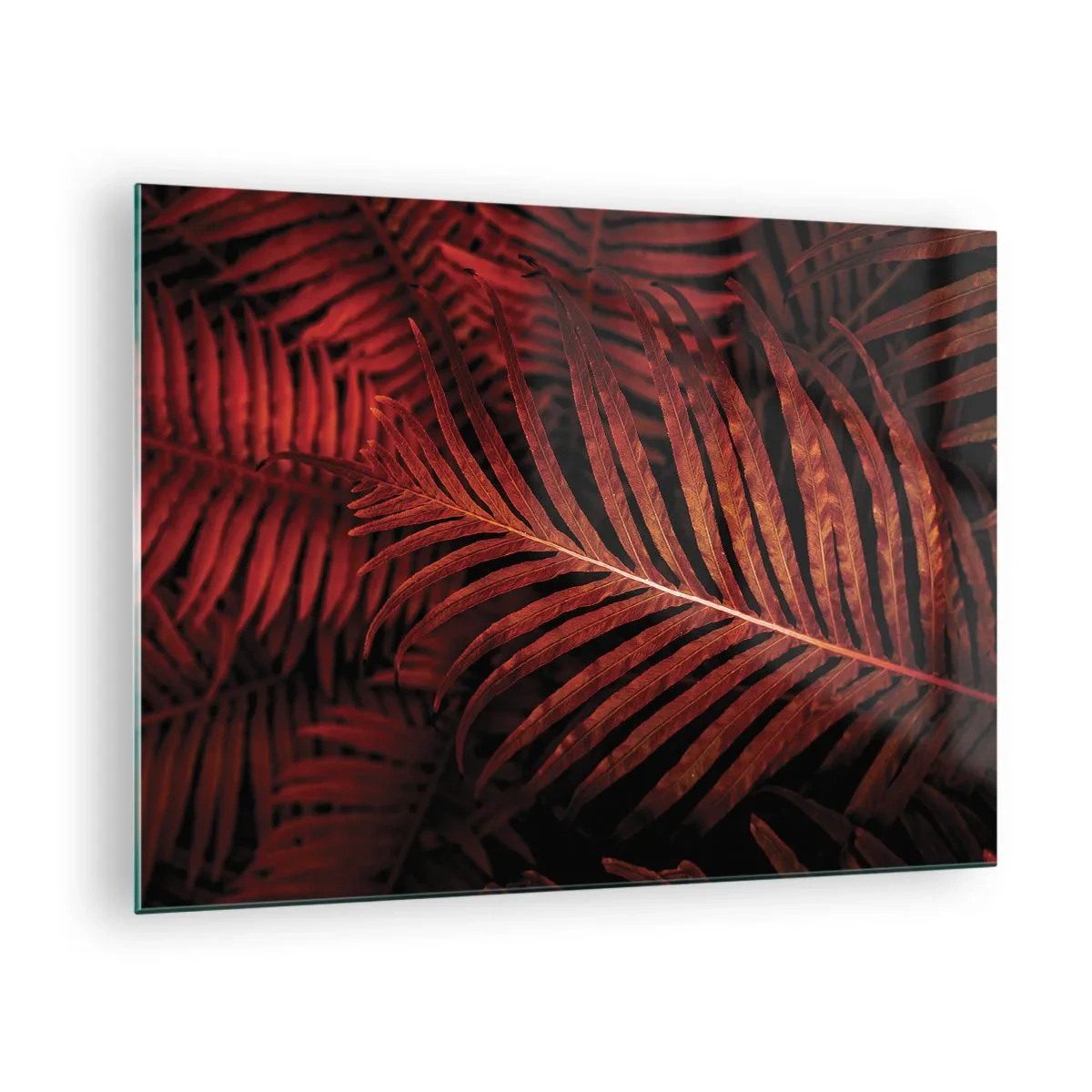 Glass picture - Red leaves of a tropical plant on a dark background - 70x50cm - Heat of Life - Modern wall decoration for the living room and bedroom ARTTOR
