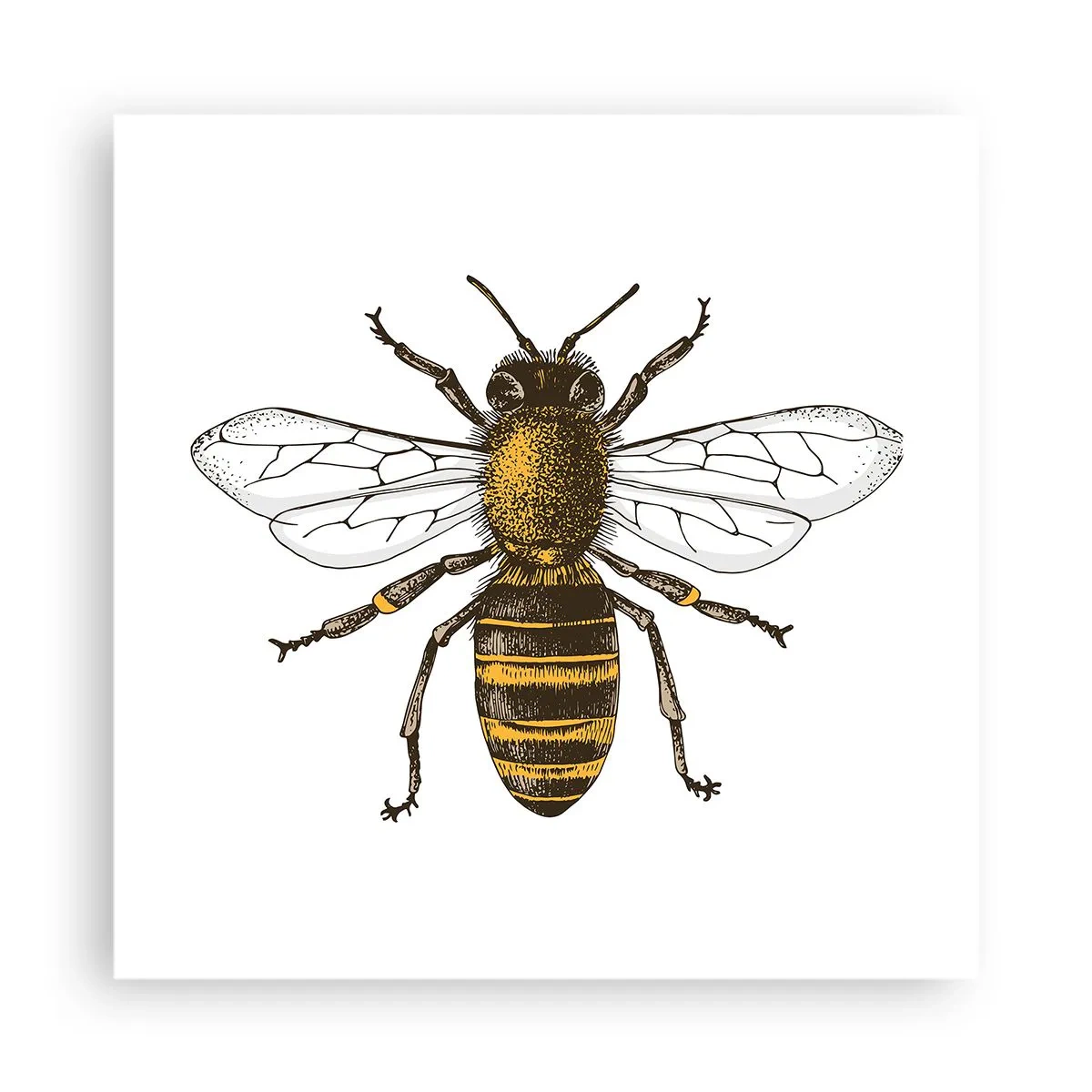 Poster - Beautiful and Good - 40x40 cm