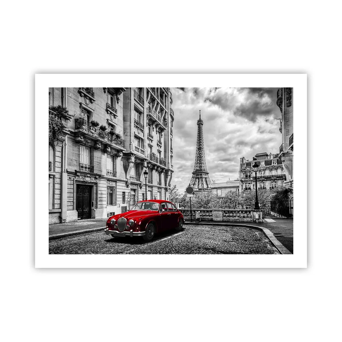 Poster - Predator in the City - 70x50 cm
