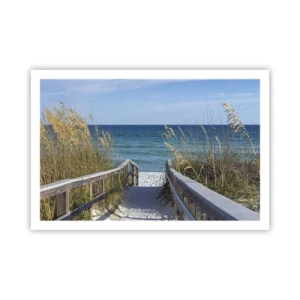 Poster - In the Sun, out in the Wind - 91x61 cm