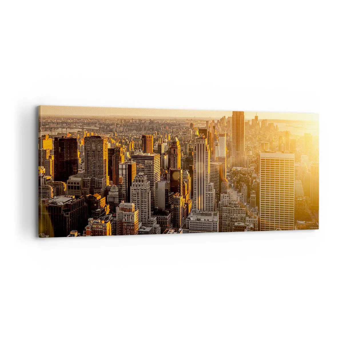 Canvas picture - Growing in the Sun - 100x40 cm