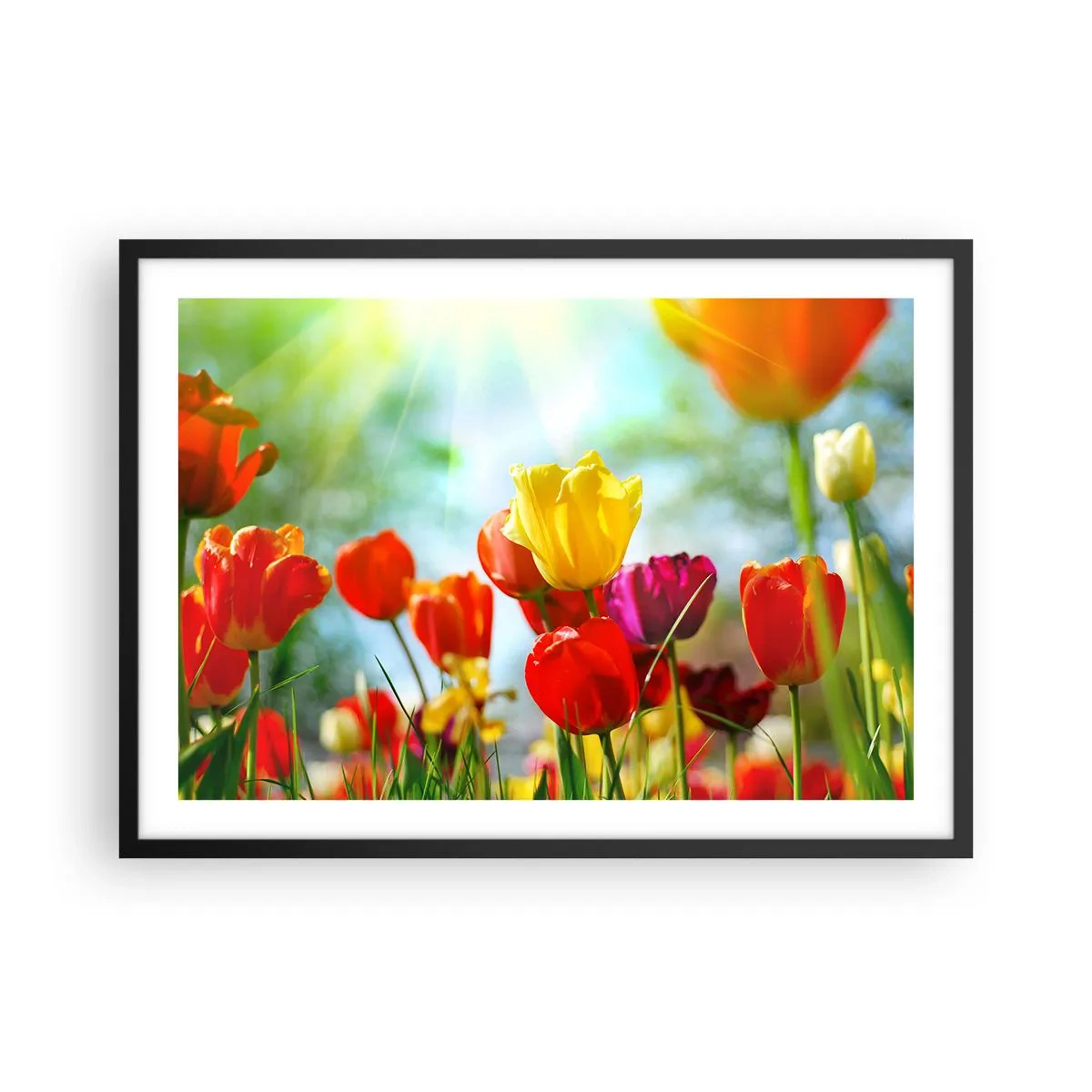 Poster in black frame - All Colours of the Sun - 70x50 cm