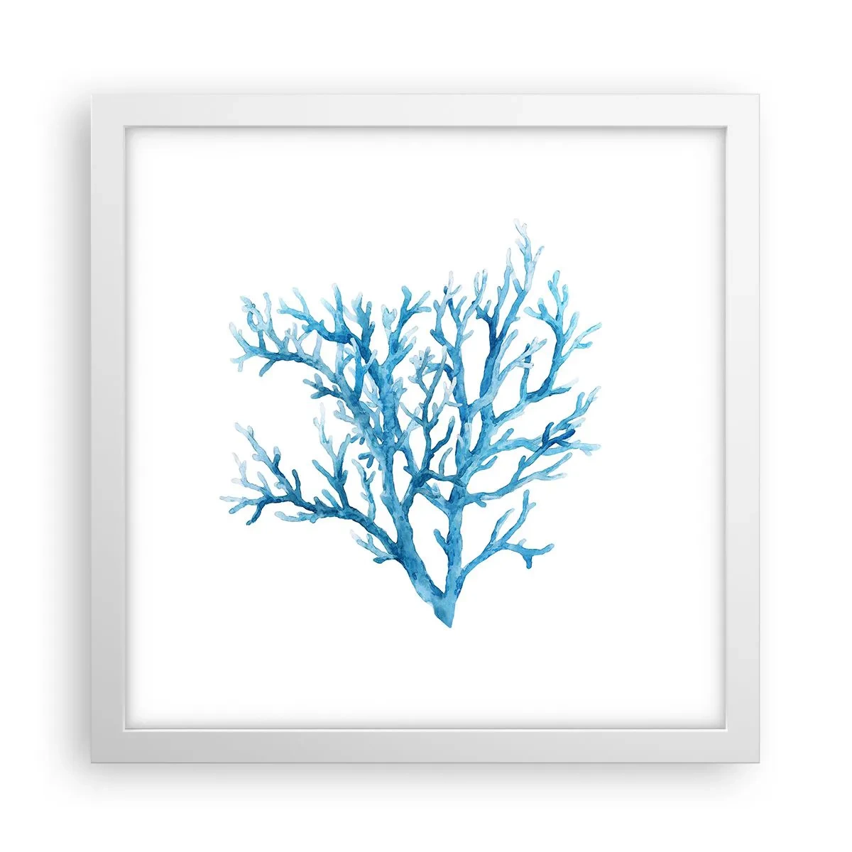 Poster in white frmae - Sea Filigree - 30x30 cm